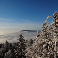 Winterlicher Fernblick ins neblige Deggendorfer Land