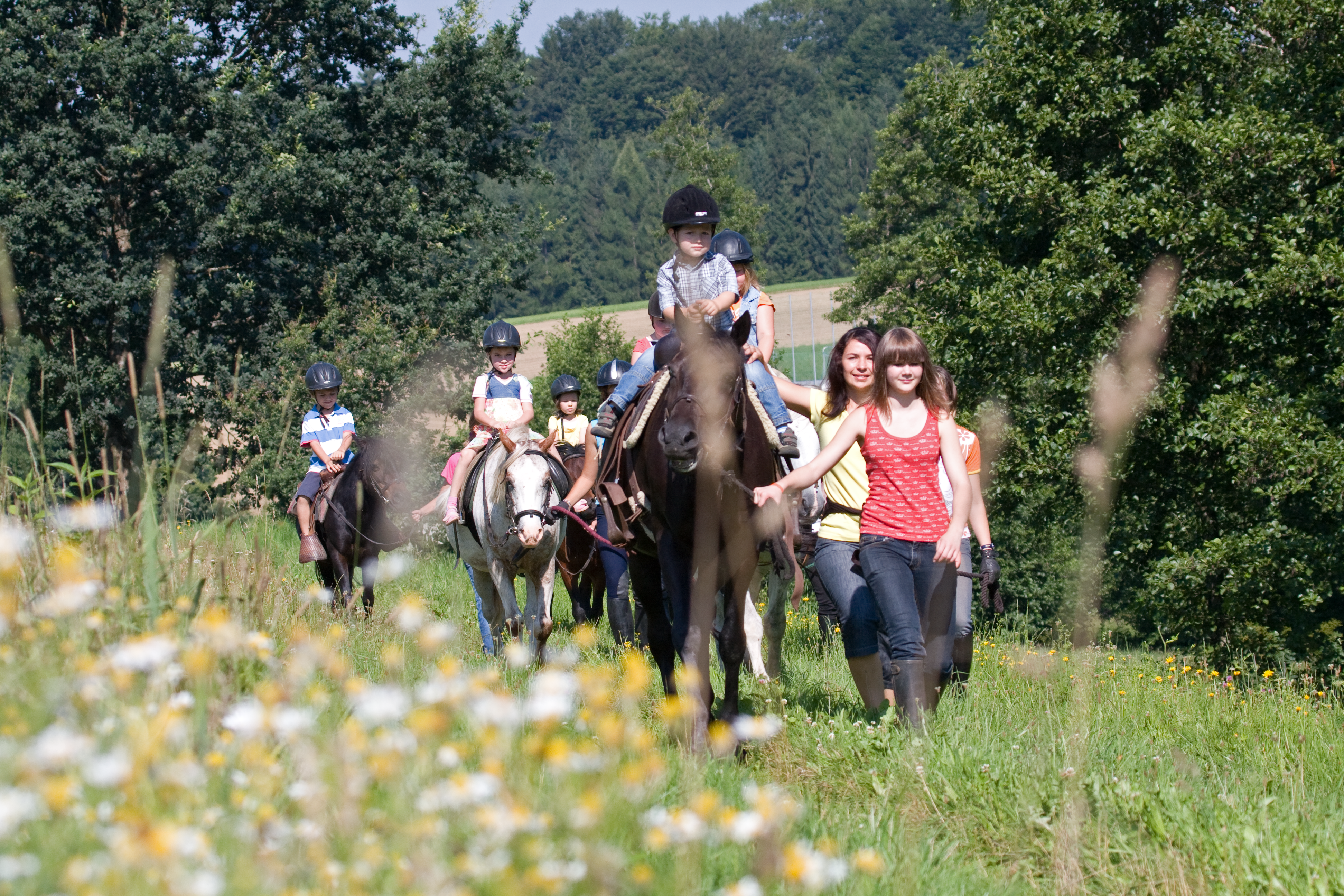 Reiten & Wandern mit Tieren
