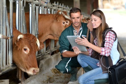 Logo - Veterinärwesen