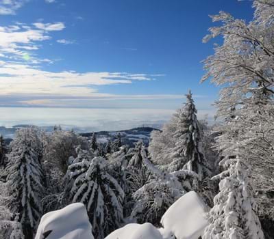 Winterland