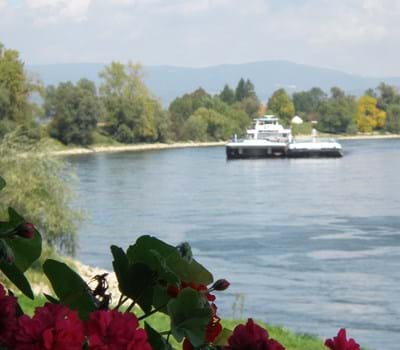 Wasserwelt