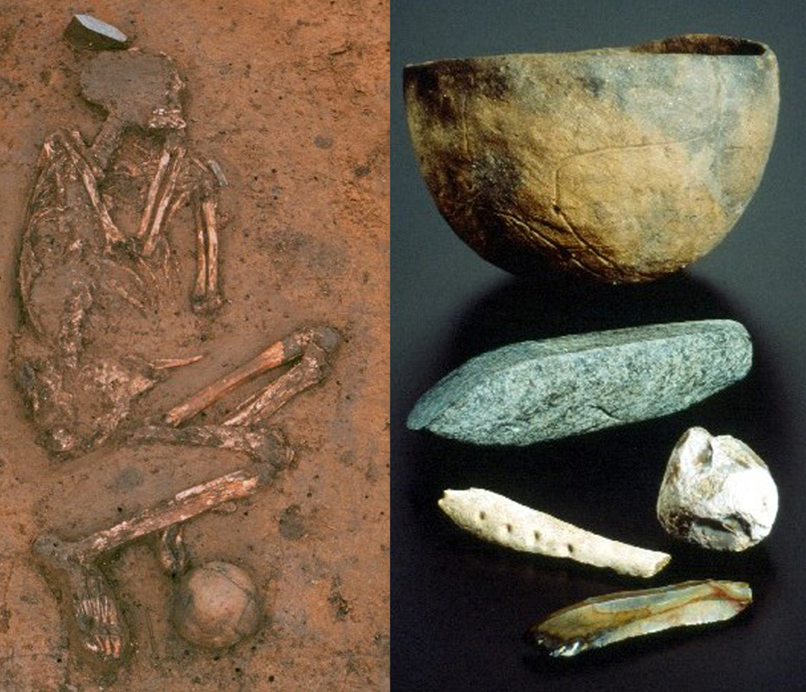 FSJ -Freiwilliges Soziales Jahr