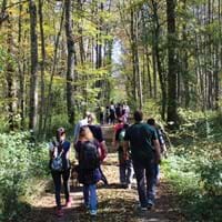 Herbstwanderung an der Donau