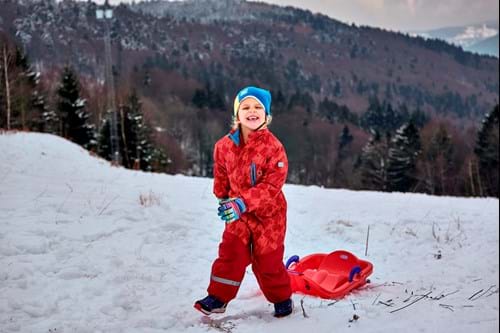 Woidlife Photography