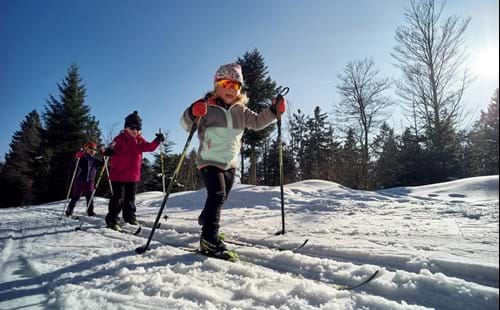 Woidlife Photography