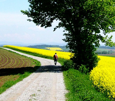Wandern
