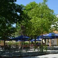 Schlosswirtschaft Biergarten_Bäume