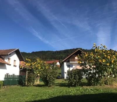 Ergebnis des Kreisentscheides