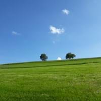 Landschaft im Landkreis Deggendorf