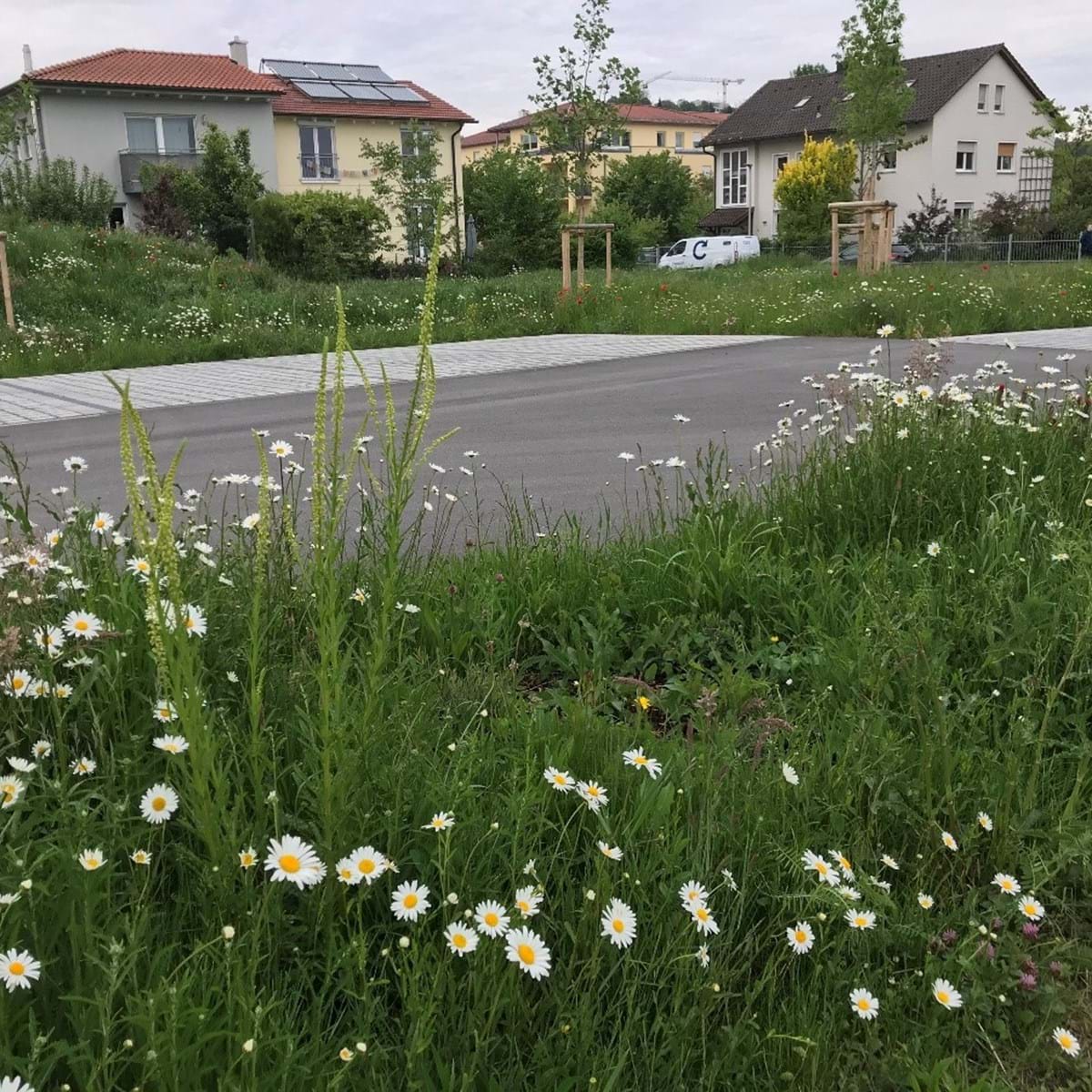 Kommunales Grün artenreich und naturnah Landkreis Deggendorf
