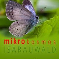 mikrokosmos ISARAUWALD.jpg