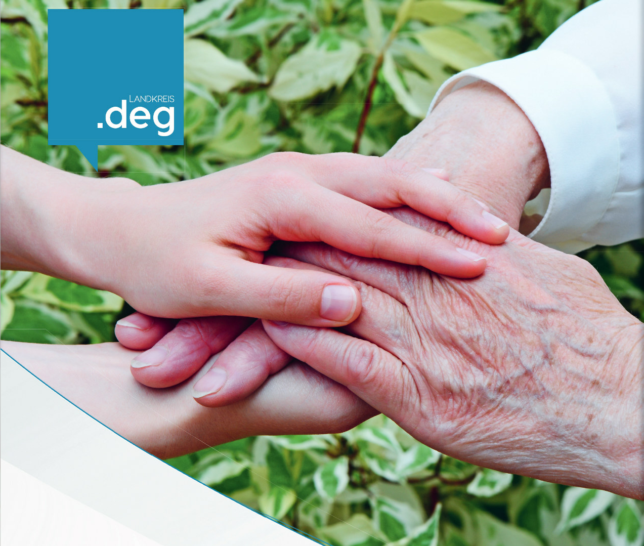 Pflegewegweiser_Bild