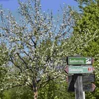 Gunthersteig