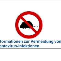 Hantavirus.png