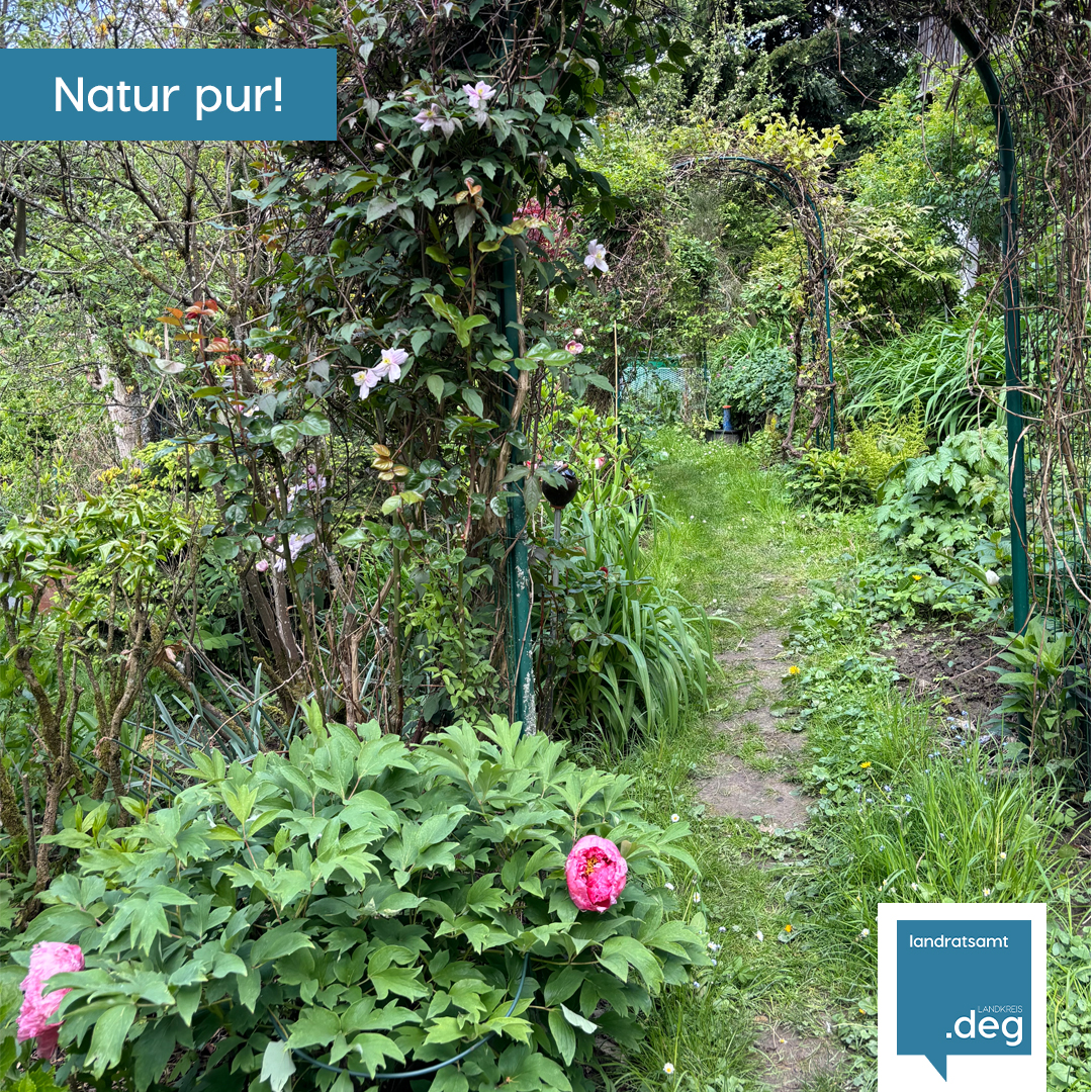 Naturgarten_IG_04_2024.jpg