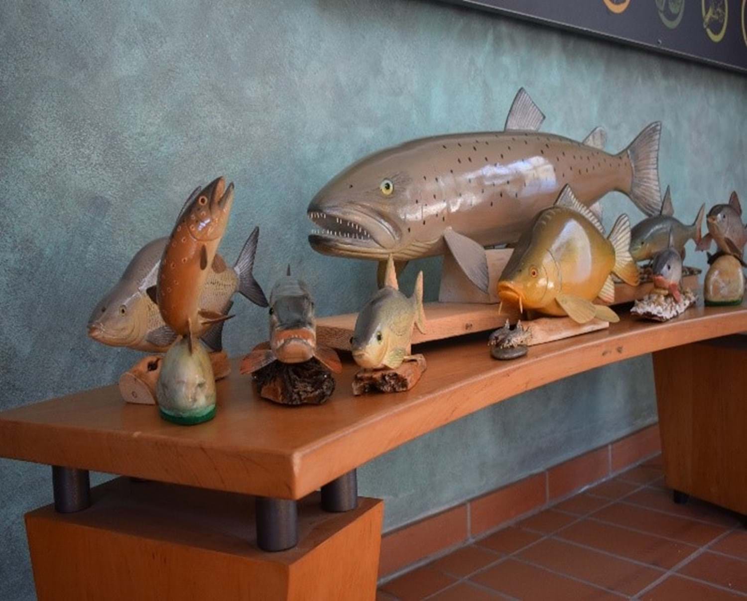 Ausstellungseröffnung: Fische der Donau – Unikate in Holz geschnitzt