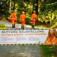 Sperrung wg Waldarbeiten von Wegen im Ruselgebiet u. a. Goldsteig, E8 und örtliche Wanderwege (RundWW 13 und Wanderweg 17) vom 09.09.-30.11.25