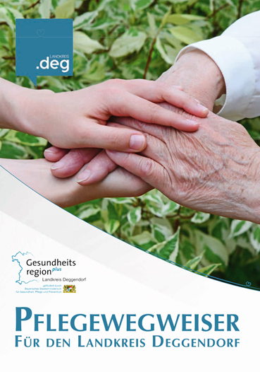 Vorschau Pflegewegweiser PDF