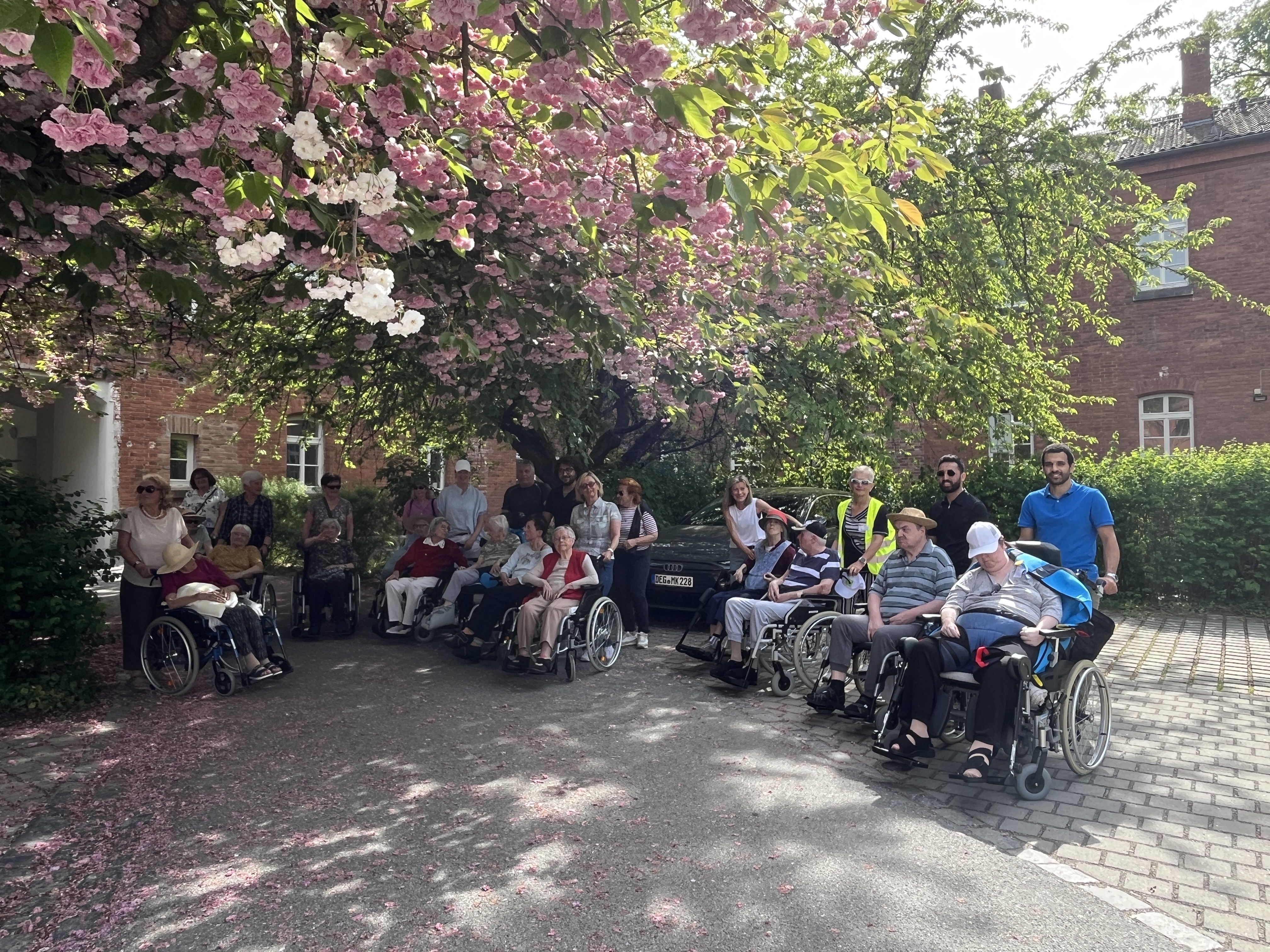 Ehrenamtliche und Senioren im Deggendorfer Stadtpark unter schattenspendenden Bäumen