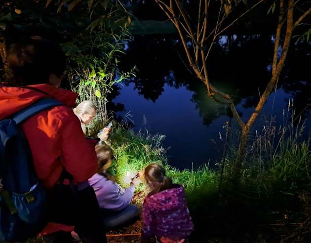 Fledermausnacht in Außernzell am Samstag, 01. August 2026, 20:00 bis 22:00 Uhr