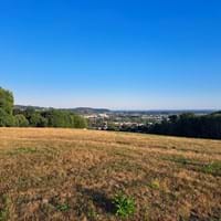 Blick vom Deggendorfer Himmelreich über die Stadt (Emmanuel Hackl, Naturpark Bayerischer Wald e. V. )