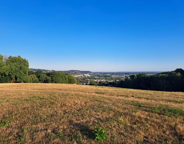 Blick vom Deggendorfer Himmelreich über die Stadt (Emmanuel Hackl, Naturpark Bayerischer Wald e. V. )